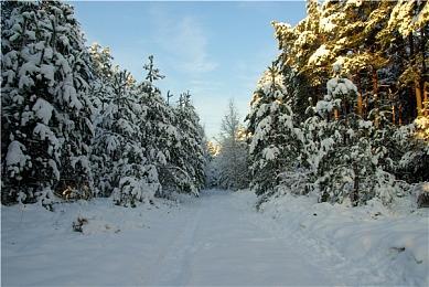 舅舅党爆料《女神异闻录6》规模庞大 最晚要等到2026年